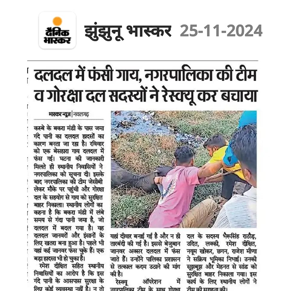 news26