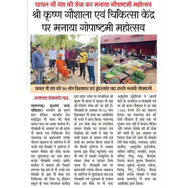 news28