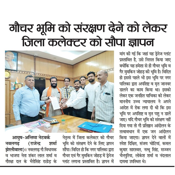 news29