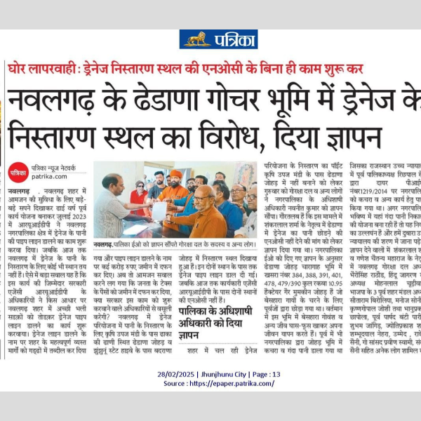 news31
